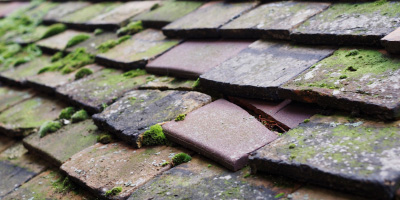 Towersey roof repair costs